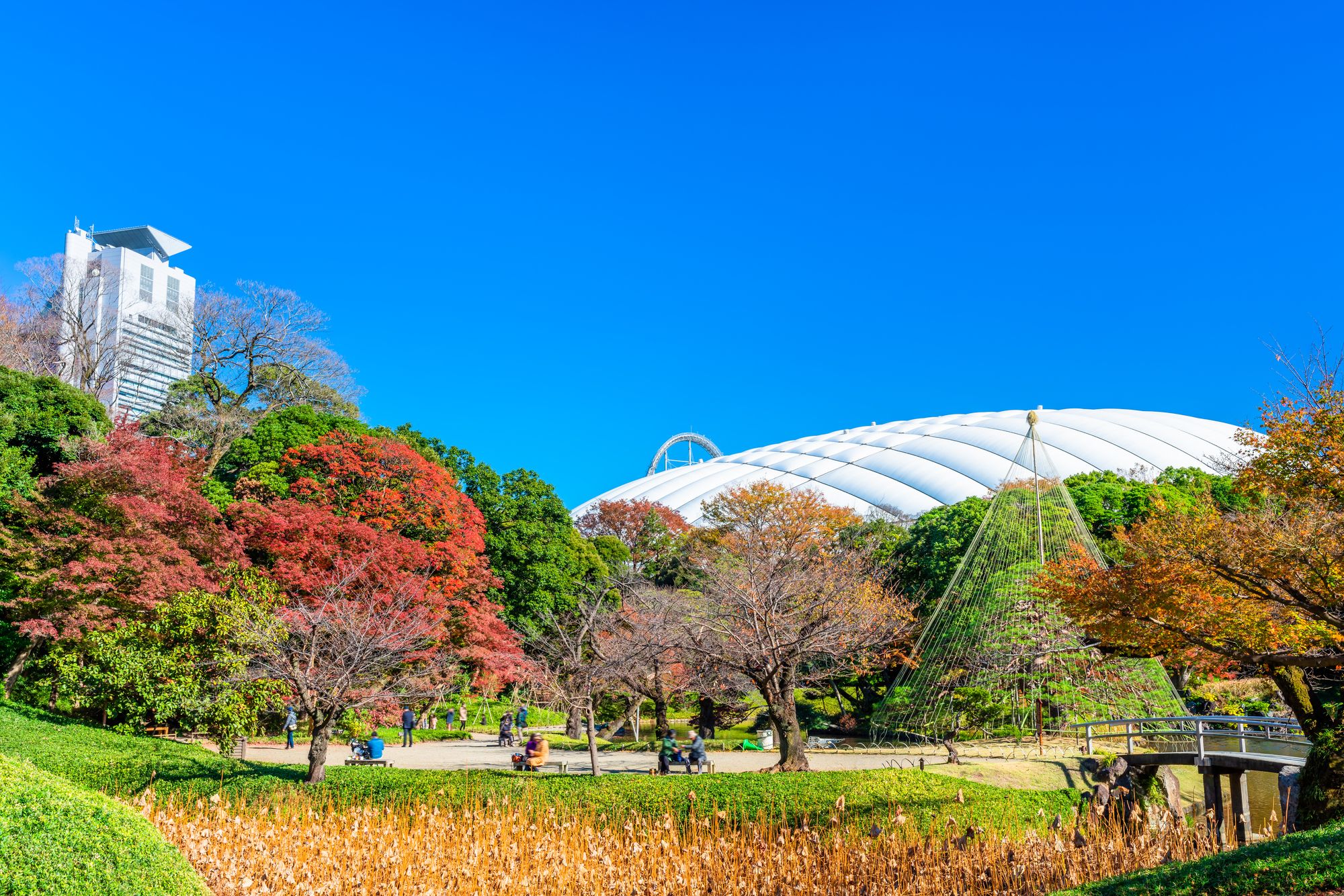 小石川後楽園:後楽園駅方向の秋の景色